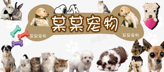 imToken钱包安卓版