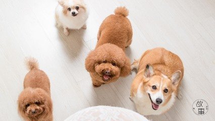 imToken钱包苹果版